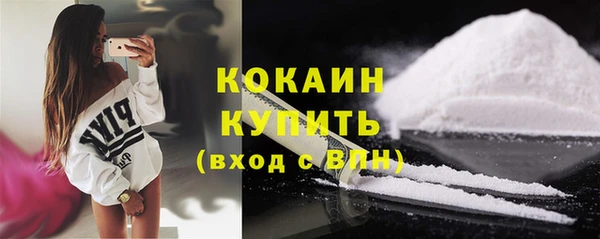 ALPHA PVP Богородицк